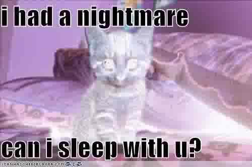 <img0*332:stuff/%2c%27..jpg>
