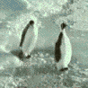 <img:stuff/006.gif>