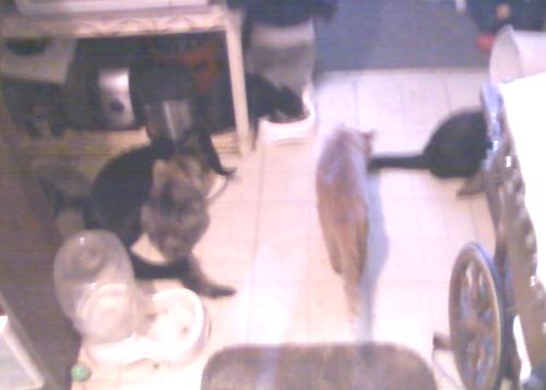 <img500*357:stuff/A_bit_blurry.jpg>