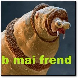<img0*329:stuff/Aha.jpg>