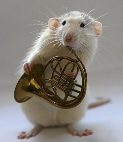 <img500*573:stuff/Algernon_Got_Nothin%27_On_Me.jpg>
