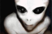 <img:stuff/BIG_WHITE_ALIEN.jpg>