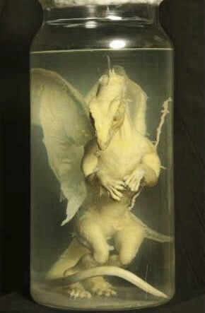 <img:stuff/BOTTLED_DRAGON.jpg>