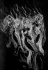 Burning_witches