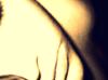 Close_and_Personal