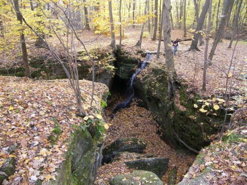 <img500*375:stuff/Gathering_firewood_.jpg>