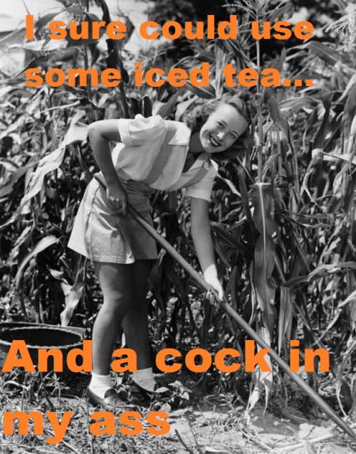 <img500*638:stuff/Hilarity.jpg>