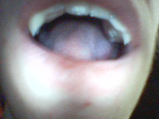 <img0*240:stuff/Image_16692.jpg>