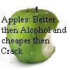 <img0*100:stuff/Image_17916.jpg>