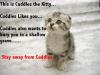 Image_21486