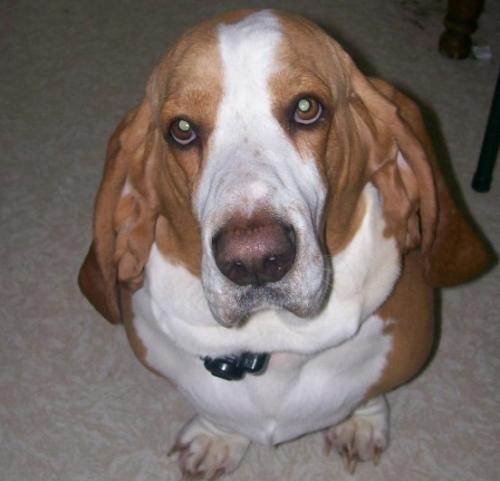 <img0*481:stuff/Image_25872.jpg>