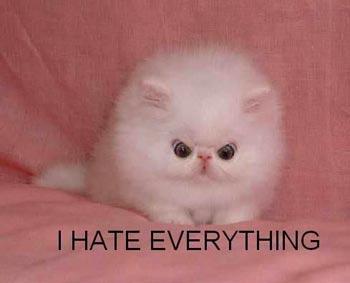 <img0*283:stuff/Image_40444.jpg>