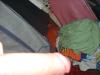 Image_66098