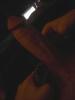 Image_67671
