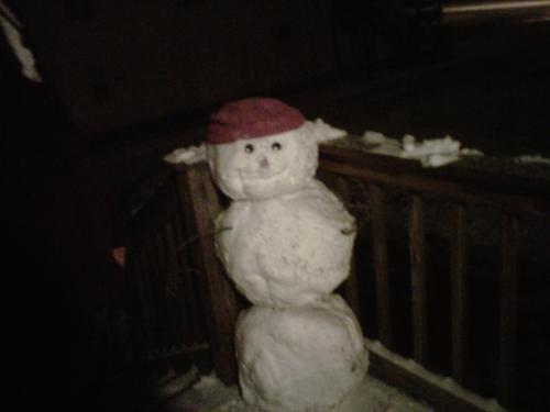 <img0*375:stuff/Image_68690.jpg>