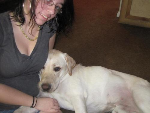 <img0*375:stuff/Image_68737.jpg>