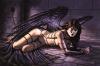 Image_7723