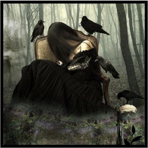 In_the_Shadows_I_wait