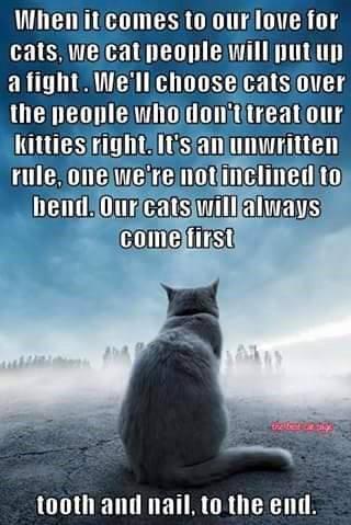 <img0*479:stuff/LOVE_YOUR__PETS_AND_WHEN_THEY_PASS..jpg>