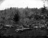 Little_Round_Top,_Gettysburg_Penna._1863