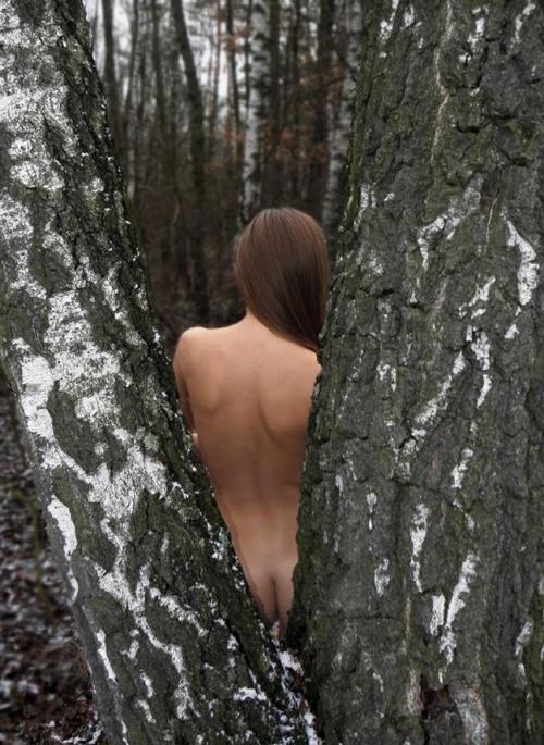 <img500*685:stuff/Looking_through_the_trees.jpg>
