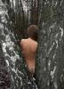 Looking_through_the_trees