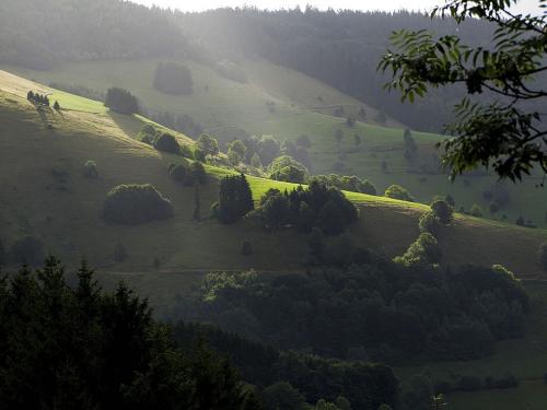 <img500*375:stuff/Lower_mountain_pastures.jpg>