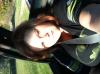 Me_chillingqw