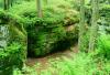 Mossy_RocksPA