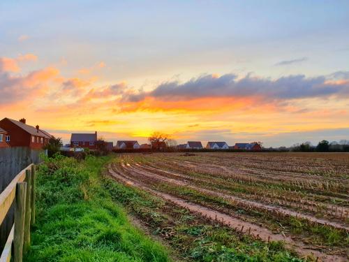 <img500*375:stuff/My_view_of_the_fields_driving_from_Upper.jpg>