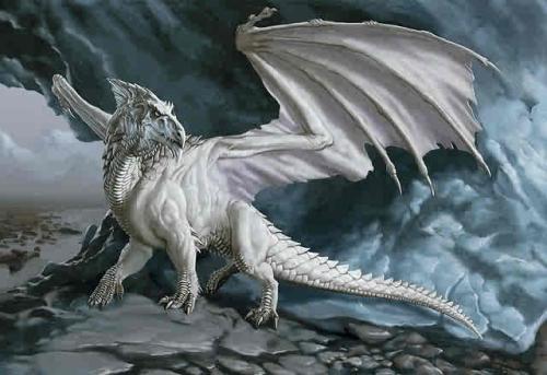 <img500*343:stuff/My_white_dragon_form.jpg>