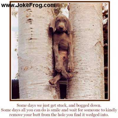 <img:stuff/STUCK_.jpg>
