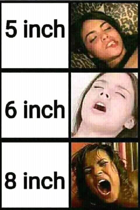 <img0*717:stuff/THESE_ARE_SMALL_SIZE_FACES.jpg>