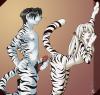 Tora_and_Darkness