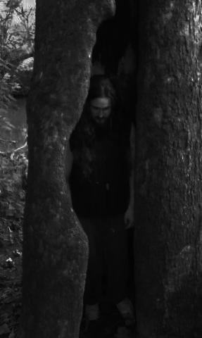 <img0*480:stuff/Tree.jpg>