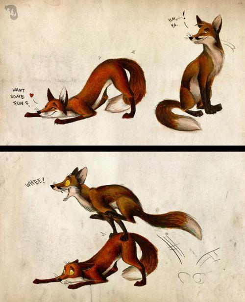 <img500*616:stuff/Yiff_Jump.jpg>