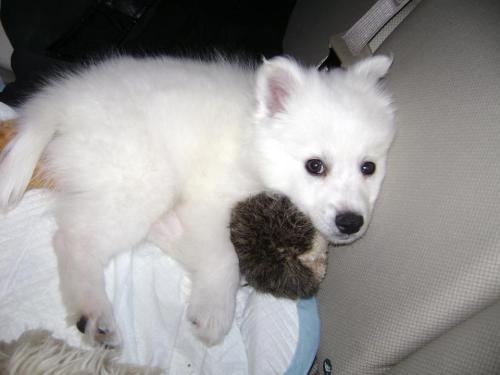 <img500*375:stuff/Yuki-san.jpg>