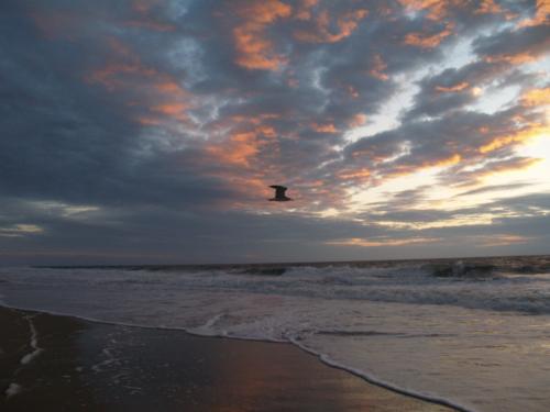 <img500*375:stuff/_I_soar_alone_into_the_sunset%21.jpg>