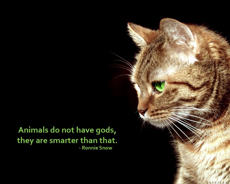 <img800*0:stuff/aj/1005/1258486395.png>