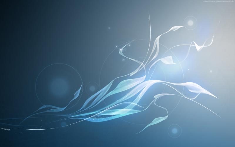 <img800*0:stuff/aj/1005/1258490754.jpg>