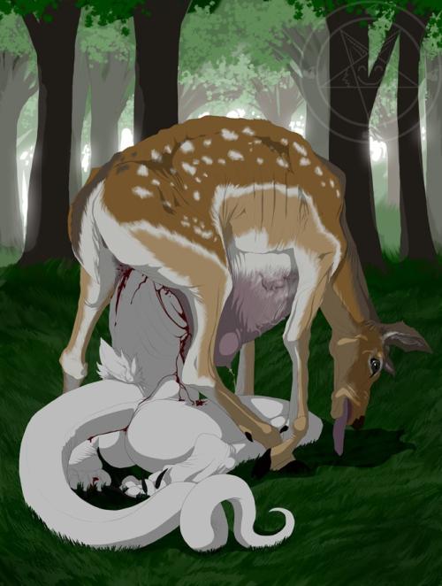 <img500*0:stuff/aj/1005/1300128254.jpg>