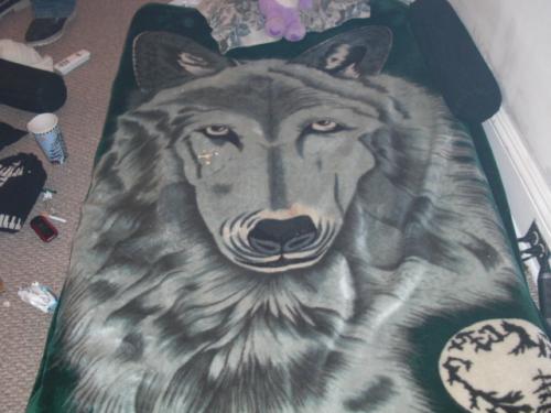 <img500*0:stuff/aj/10096/1263156465.jpg>