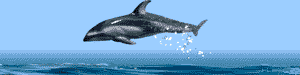 <img:stuff/aj/10835/1306409330.gif>