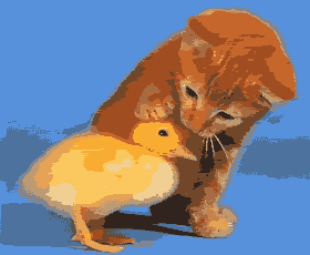 <img:stuff/aj/10835/1306409518.gif>