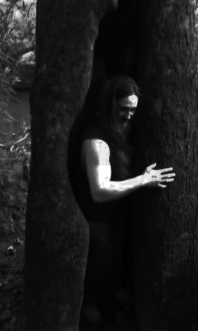 <img:stuff/aj/523/treegod.jpg>