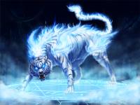 <img200*0:stuff/aj/5263/1467689014.jpg>
