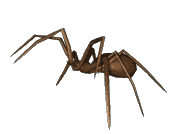 <img:stuff/aj/5263/1544494402.gif>