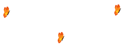 <img:stuff/aj/5263/1546314516.gif>