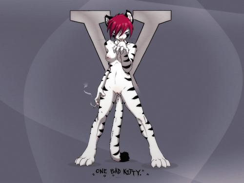 <img500*0:stuff/aj/6707/1282066793.jpg>
