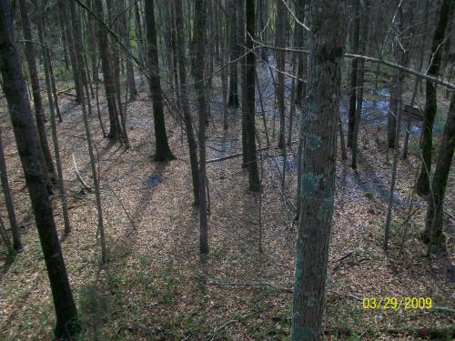 <img500*0:stuff/aj/6850/1244742418.jpg>